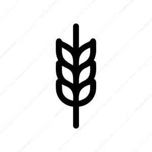 Simple Outline Wheat Stalk Icon Symbol Shape