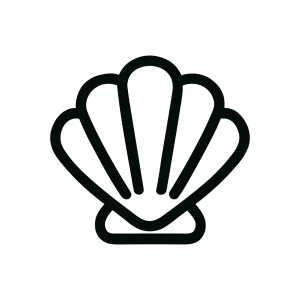 Simple Outline Seashell Aquatic Animal Element Line Art Icon