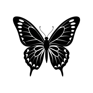 Black and White Elegant Butterfly Illustration Winged Insect with Detailed Pattern