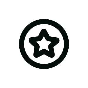 Outline Minimalist Star Inside Circle Shape Icon