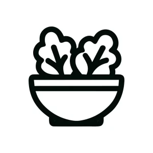 Simple Line Salad Bowl Fresh Nutrition Icon