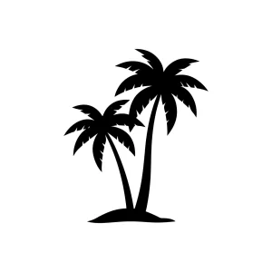 Silhouette Tropical Palm Tree Exotic Summer Island