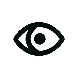 Simple Black Outline Eye Vision Symbol Icon