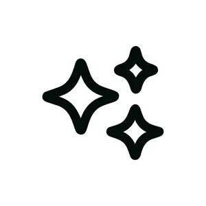 Simple Line Sparkle Shape Star Sign Icon