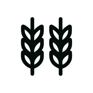 Simple Line Black Two Wheat Stalks Minimalist Agriculture Food Icon