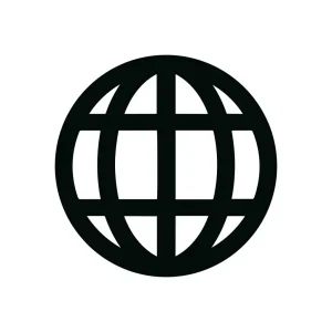 Simple Flat Globe Internet Connection World Wide Web Communication Icon