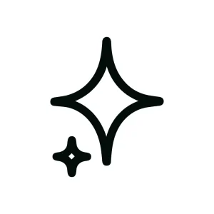Outline Simple Sparkle Starburst Element Star Shape Icon