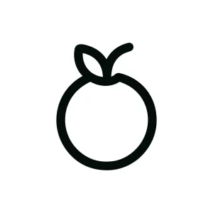 Simple Line Style Orange Fruit Graphic Isolated Element Illustration