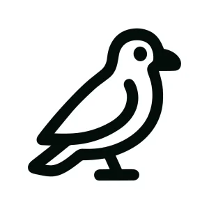 Simple Line Black Bird Standing Animal Icon