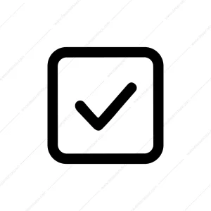 Simple Line Check Mark Inside Square Shape Icon