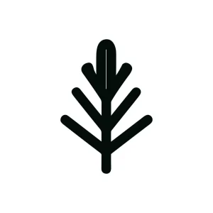 Simple Line Art Isolated Leaf Branch Plant Nature Icon