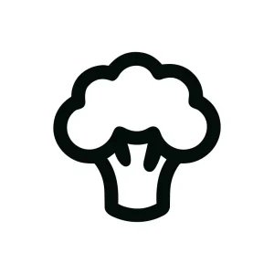 Simple Line Broccoli Floret Vegetable Diet Icon