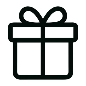 Simple Outline Gift Box with Ribbon Icon Present Illustration