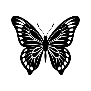 Detailed Black and White Butterfly Insect with Symmetrical Wings Illustration