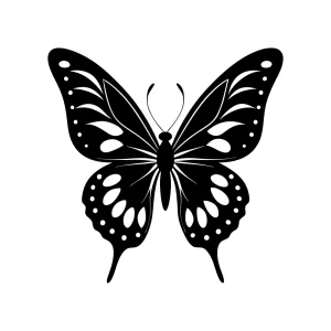 Elegant Silhouette Detailed Butterfly Insect Nature Wildlife Illustration