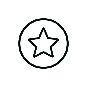 Simple Outline Star Inside Circle Icon Achievement Sign Symbol Design