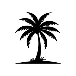 Minimalist Silhouette Tropical Coconut Palm Tree Illustration