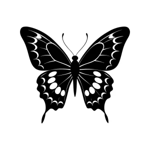Elegant Silhouette Butterfly Insect Wing Animal Flying Creature Illustration