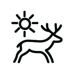 Outline Simple Deer and Sun Silhouette Symbol Icon