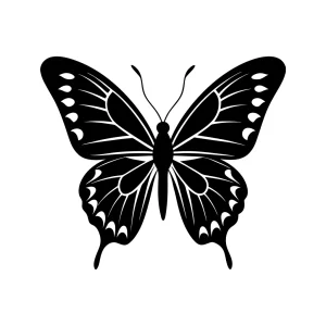 Simple Black and White Butterfly Detailed Wing Design Illustration Insect