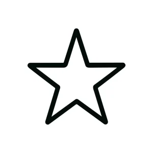 Simple Outline Star Shape Award Sign Icon