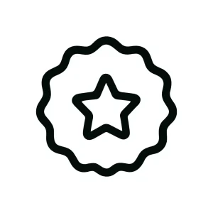 Outline Minimalist Star Award Badge Shape Icon