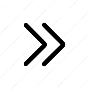 Simple Bold Double Arrow Forward Navigation Sign