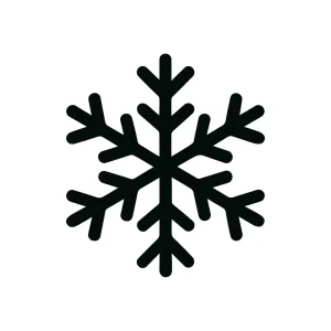 Simple Line Snowflake Winter Season Symbol Icon