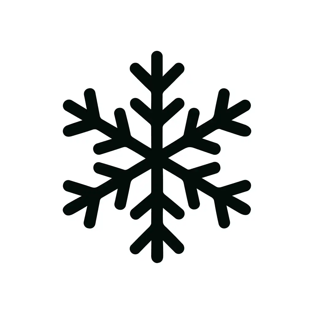 Simple Line Snowflake Winter Season Symbol Icon