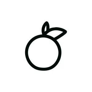 Minimalist Outline Style Fresh Simple Orange Fruit with Two Leaf Icon