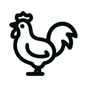 Simple Outline Rooster Farm Animal Icon Graphic