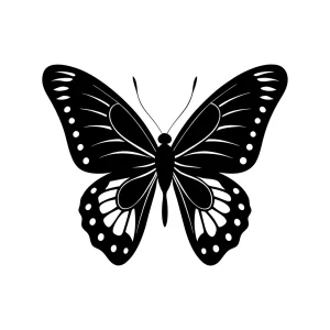 Detailed Handdrawn Butterfly Insect Wing Animal Creature Black and White Illustration