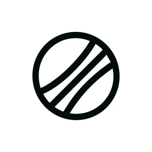Minimalist Line Art Circle with Three Lines Graphic