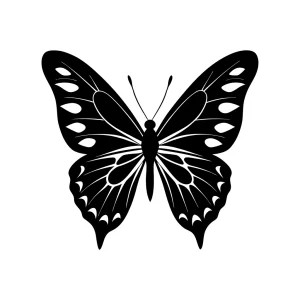 Elegant Detailed Butterfly Insect Wing Illustration Silhouette on White Background