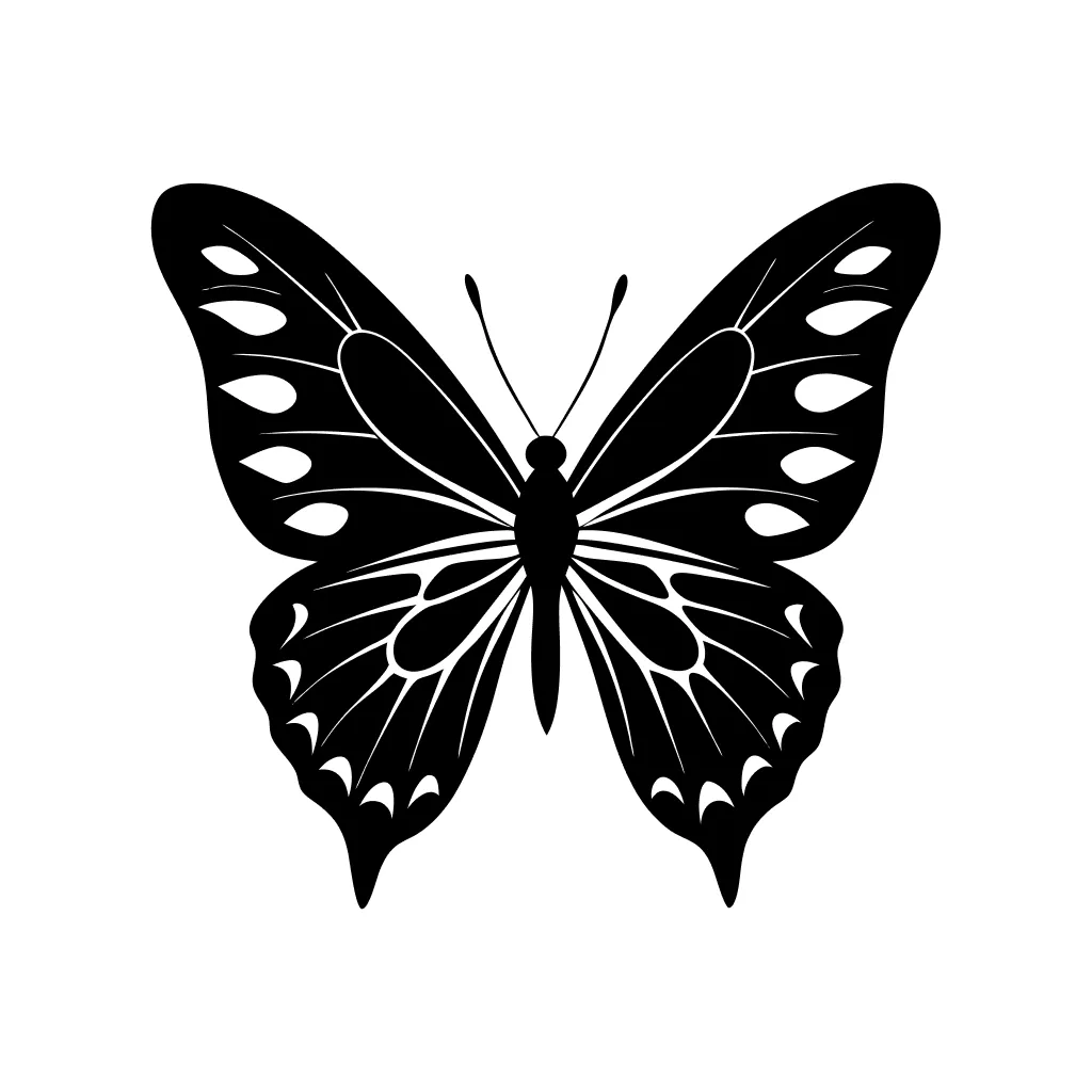 Elegant Detailed Butterfly Insect Wing Illustration Silhouette on White Background