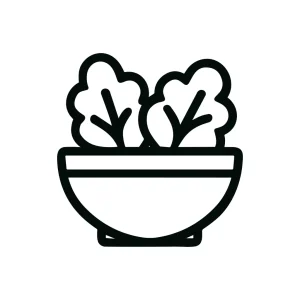 Simple Outline Salad Bowl Healthy Food Icon