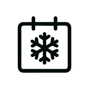 Line Style Detail Snowflake Calendar Page Winter Season Icon