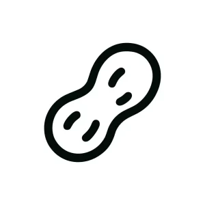 Simple Outline Peanut Healthy Snack Food Icon