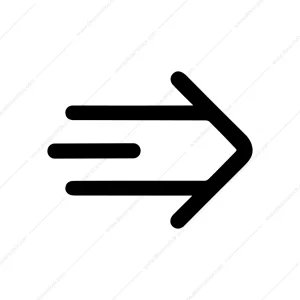 Simple Line Style Forward Arrow Speed Icon