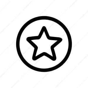 Outline Simple Star Inside Circle Shape Icon