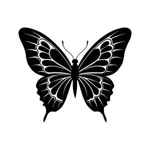 Silhouette Detailed Butterfly Wing Insect Black and White Illustration