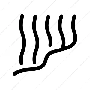 Simple Line Art Seaweed Branch Graphic Element Illustration