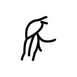 Minimalist Line Art Bird Perched on Branch Wildlife Illustration