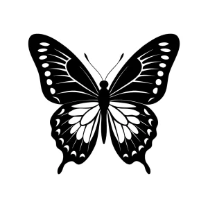 Detailed Line Art Butterfly Illustration with Intricate Wing Patterns Insect