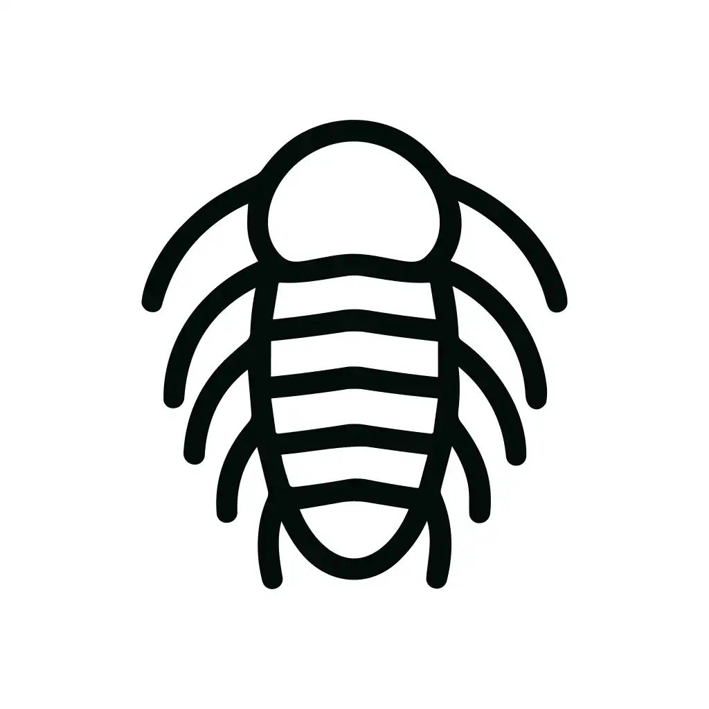 Outline Simple Detailed Trilobite Fossil Shape Sign Icon