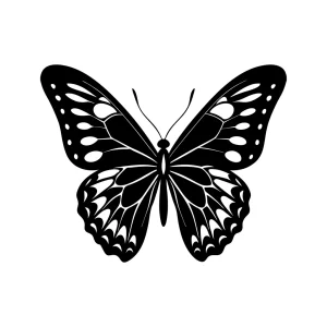 Detailed Lineart Butterfly Insect Nature Wildlife Winged Creature Illustration