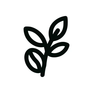 Minimalist Outlined Leaf Branch Design Element for Natural Decoration Icon