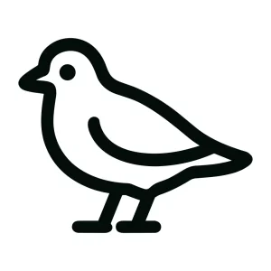 Outline Simple Bird Line Art Minimalist Icon