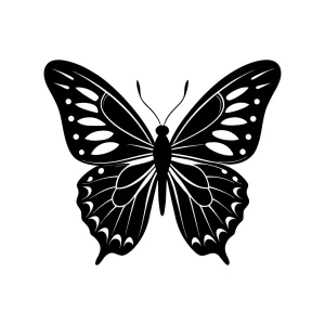 Detailed Black and White Butterfly Moth Insect Nature Illustration
