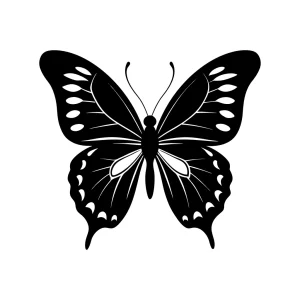 Detailed Black and White Silhouette Butterfly Insect Wing Illustration